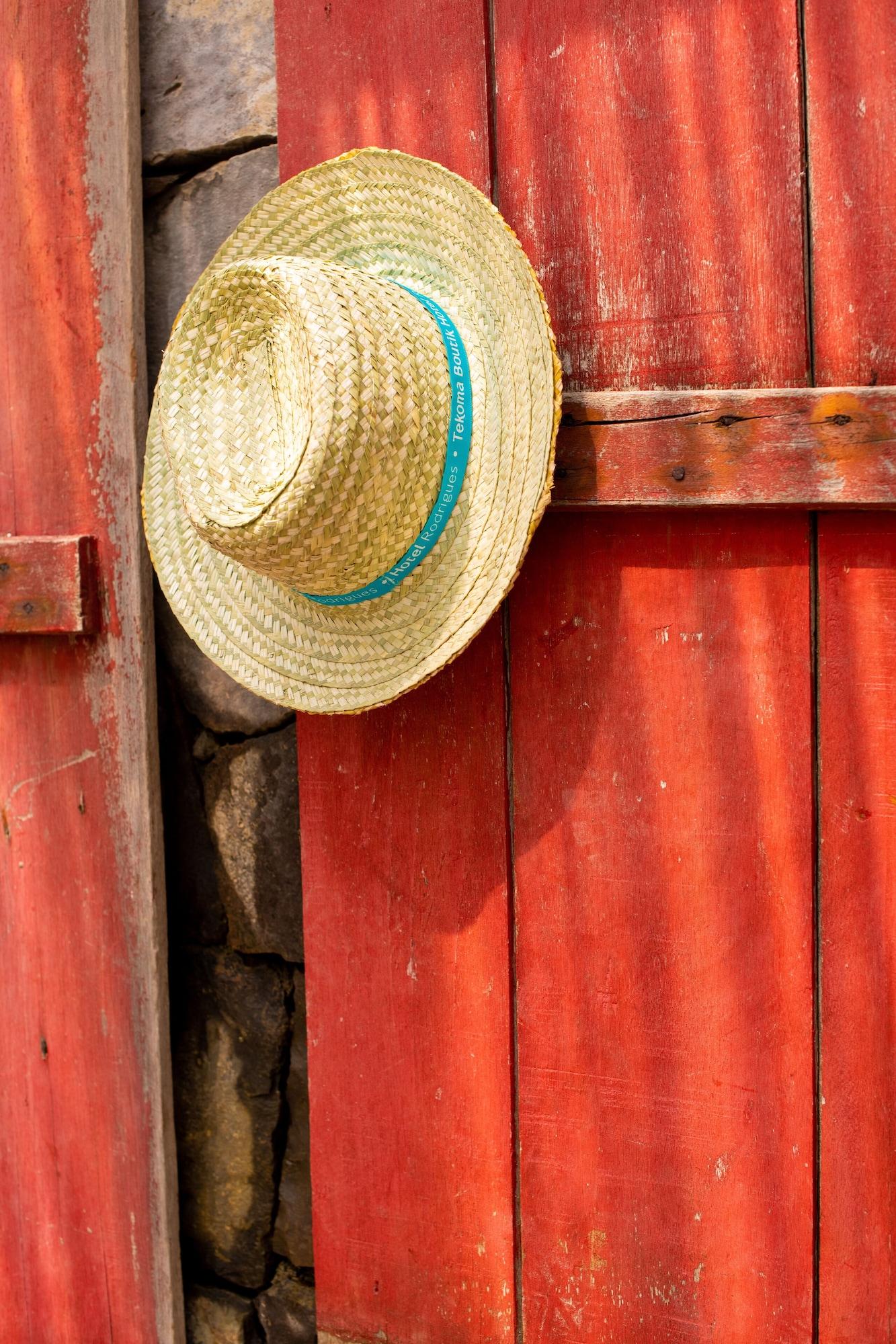 Constance Tekoma Nouvelle Découverte Buitenkant foto